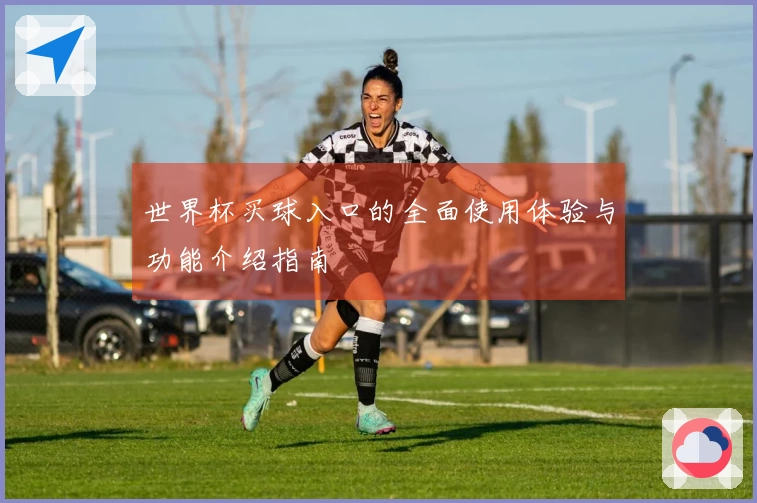世界杯买球入口的全面使用体验与功能介绍指南