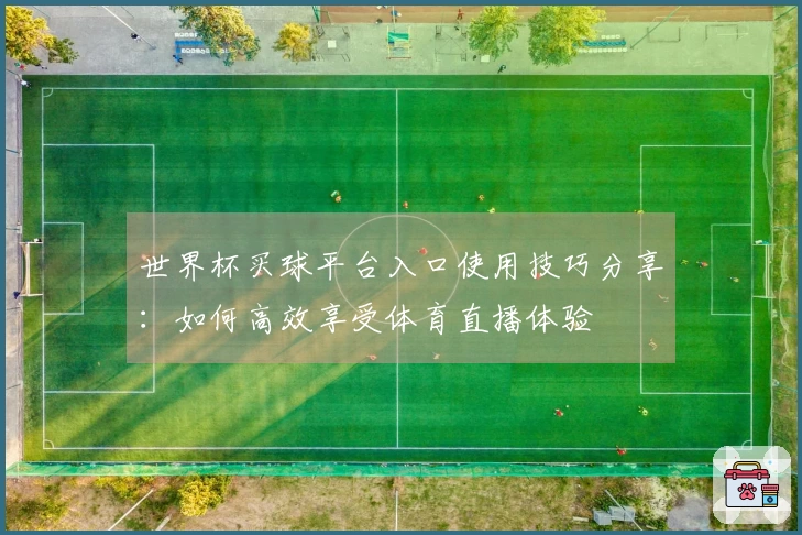 世界杯买球平台入口使用技巧分享：如何高效享受体育直播体验