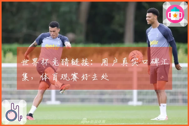 世界杯竞猜链接：用户真实口碑汇集，体育观赛好去处