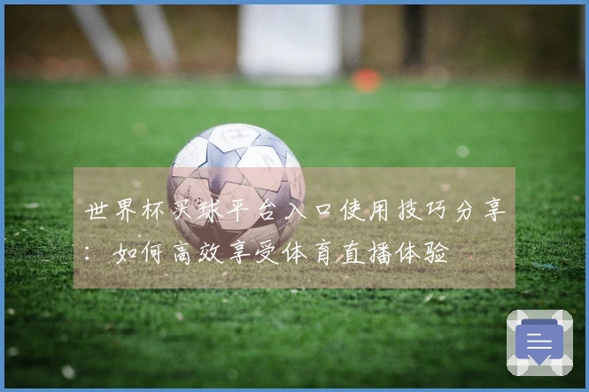 世界杯买球平台入口使用技巧分享：如何高效享受体育直播体验