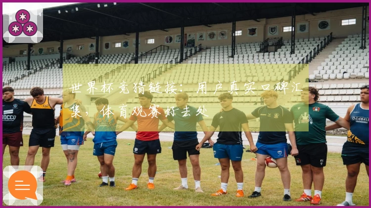 世界杯竞猜链接：用户真实口碑汇集，体育观赛好去处