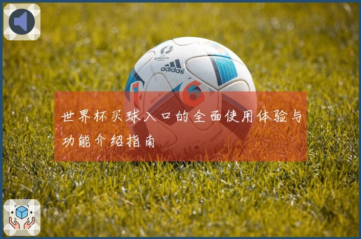 世界杯买球入口的全面使用体验与功能介绍指南